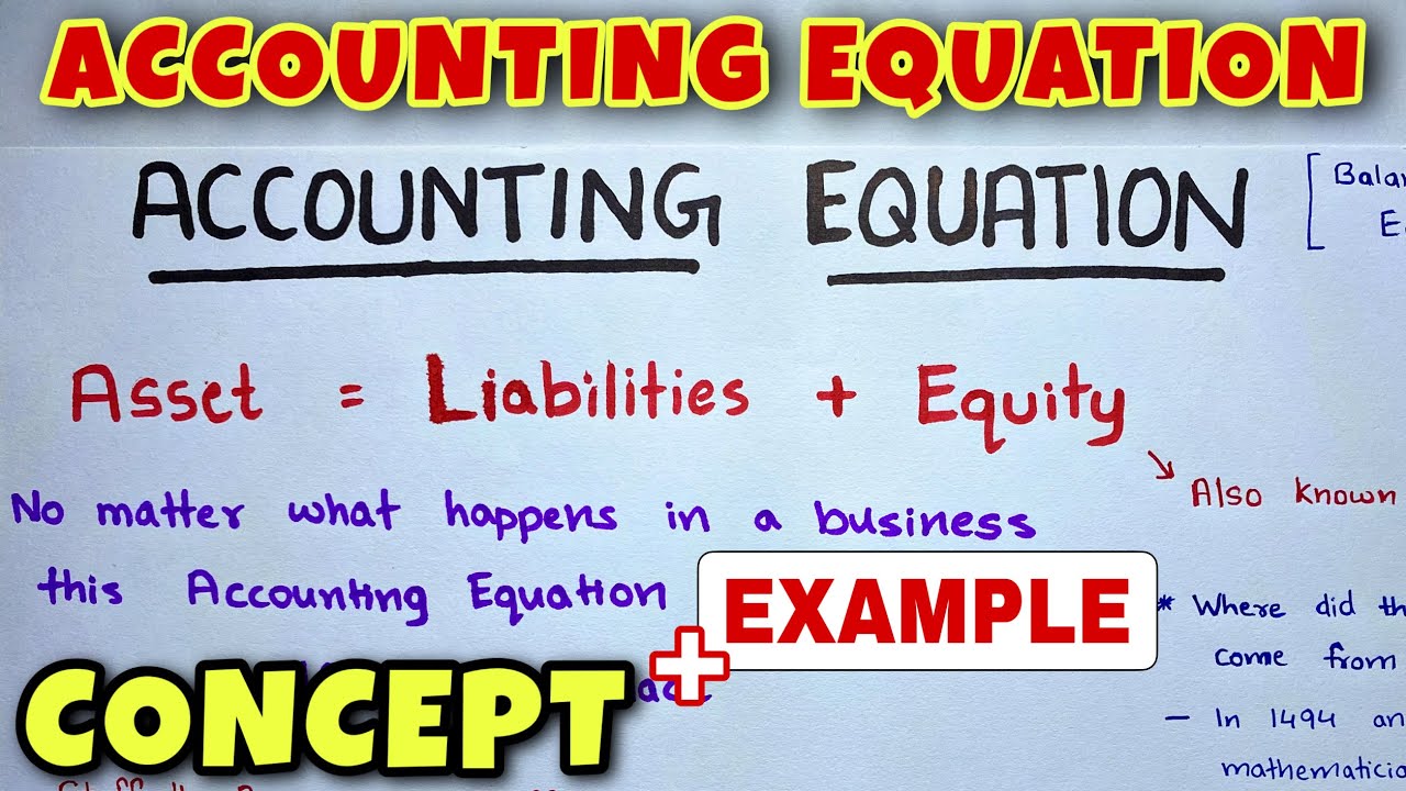 assignment on accounting equation class 11