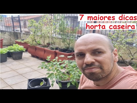 Vídeo: Pomares em vez de hortas