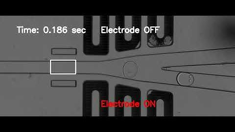 Droplet sorting by ODIN