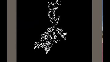 "Dank Foliage" for Unity -  G Channel ccan for distance field generation.