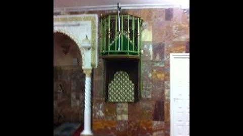 صلاة التراويح مسجد الاخلاص سورة الجن