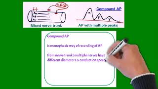 Action Potential (AP)- Part- III (Types of APs)