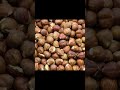 Benefits Of Hazelnuts