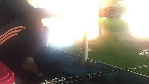 Câu cá dìa bằng cần ikada