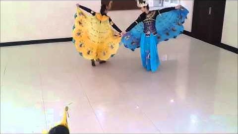 Indonesian Traditional Dance-Tari Merak