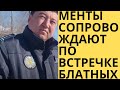 МЕНТЫ СОПРОВОЖДАЮТ ПО ВСТРЕЧКЕ БЛАТНЫХ