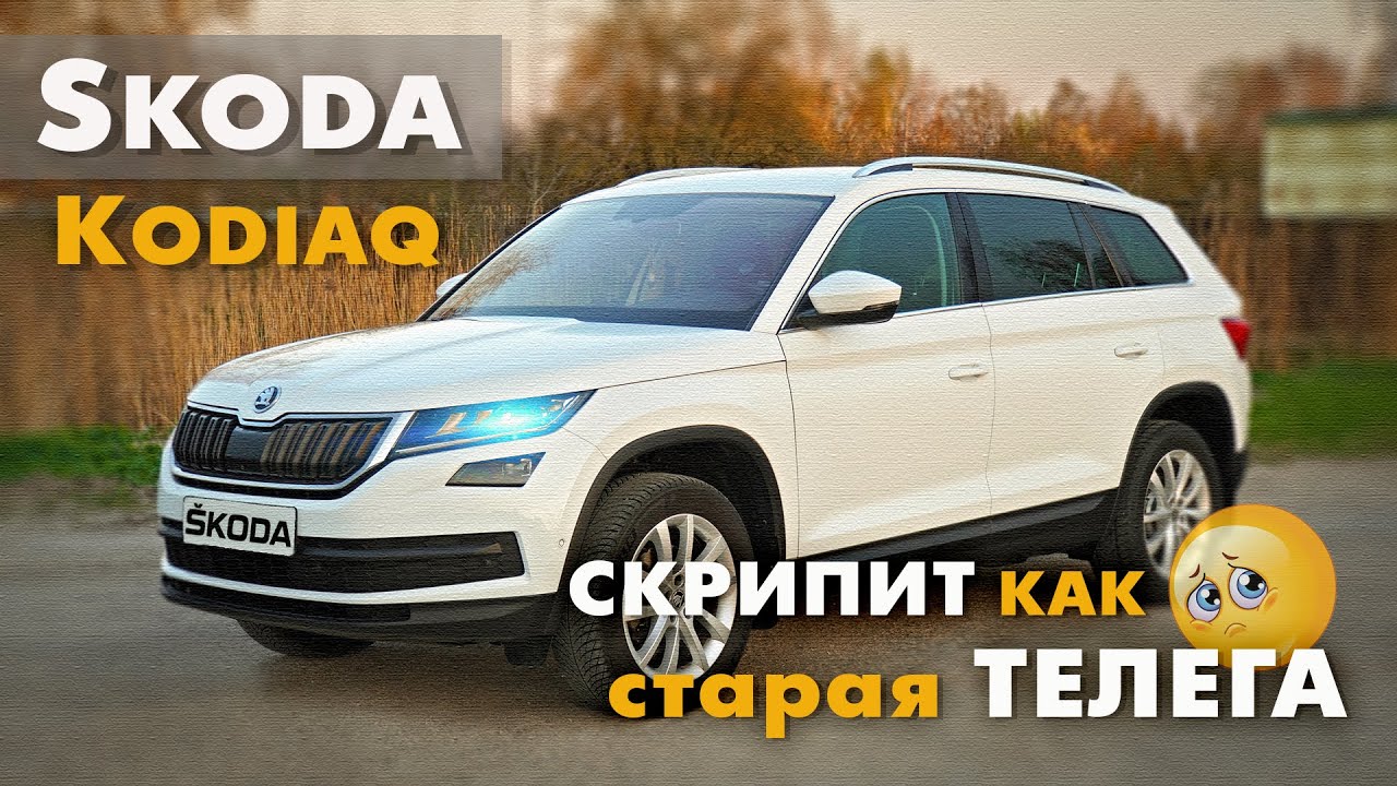 Скрип дверей Skoda Kodiaq. Шкода Мень Кодиака. Воздухозаборник Шкода Кодиак. Шкода Кодиак вес. Скрежет шкода