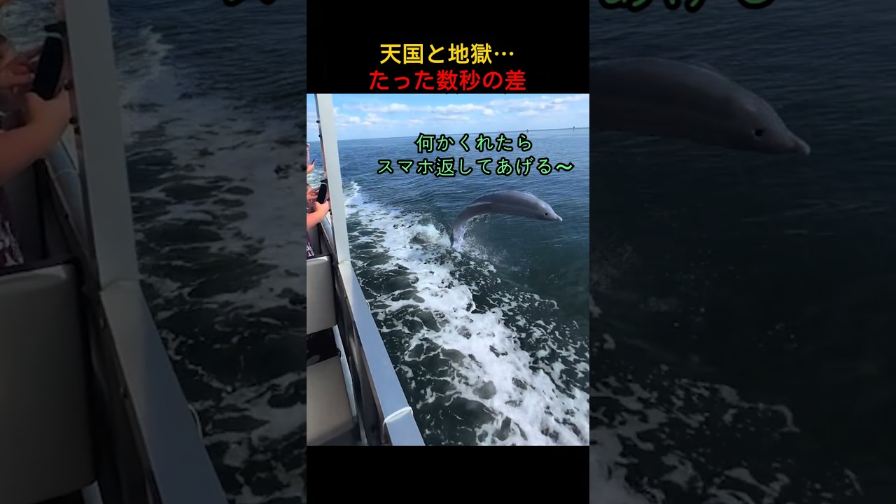 天国と地獄…たった数秒の差