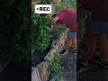 This is why we love gardening!! So satisyfing #gardening #asmr #youtubeshort