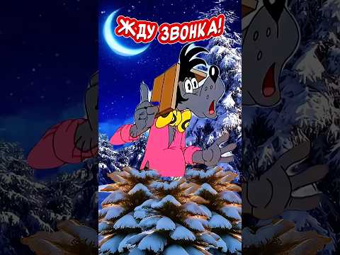 Жду звонка!🤣Весёлая открытка для отличного настроения👍#весёлаяоткрытка