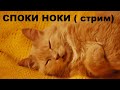 СПОКИ НОКИ (стрим)