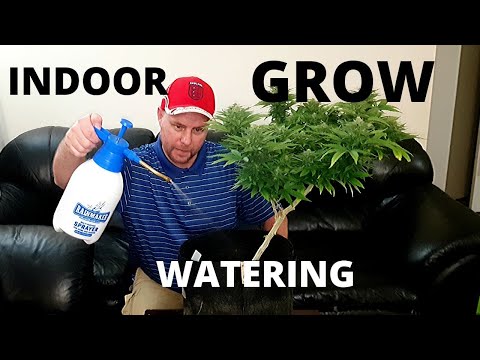 Watering Weed the right amount