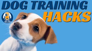 5 Simple Hacks to Help Your Dog Learn Faster (Reinforcement Process) #31