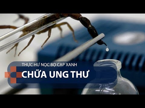 Video: Bọ Cạp Nọc độc Là Một Công Cụ đầy Hứa Hẹn Trong Cuộc Chiến đánh Bại Ung Thư - Sử Dụng Nọc độc Bọ Cạp để Chống Lại Bệnh Ung Thư