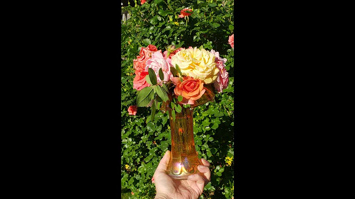 Antique Roses In My Garden - Con Te Partiro - Time To Say Goodbye