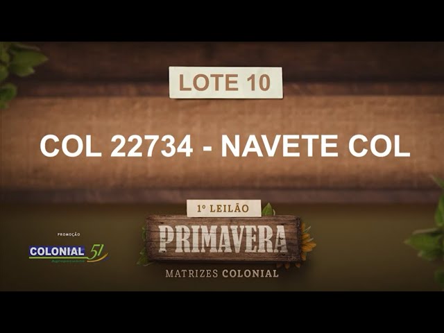 LOTE 10   COL 22734