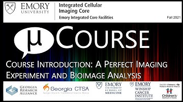 BIA@Emory-01 - Course Introduction: A Perfect Imaging Experiment and Bioimage Analysis