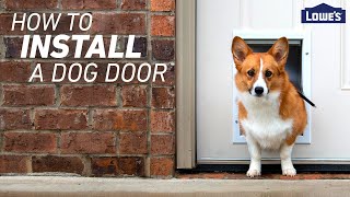犬のドアをインストールする方法
