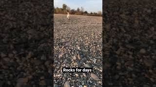 Ummthat’s a lot of rocks.shorts