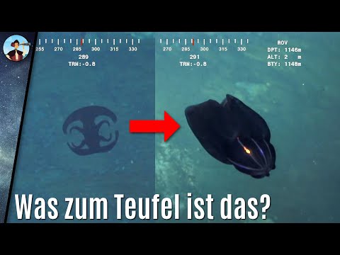 Video: Empfindliches Wahrzeichen