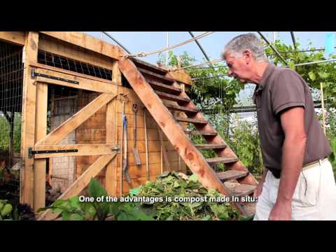 Vidéo: Irish Gardening Ideas - S'inspirer des jardins d'Irlande