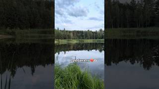 Хочу на рыбалку! 🎣 Лучшие моменты за season 2025 #рыбалка #fishing #рыбалканаозере #carpfishing