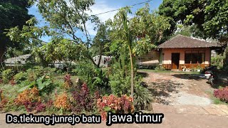 DESA YANG SUBUR PENDUDUKNYA YANG RAMAH | Ds.tlekung-junrejo BATU JAWA TIMUR