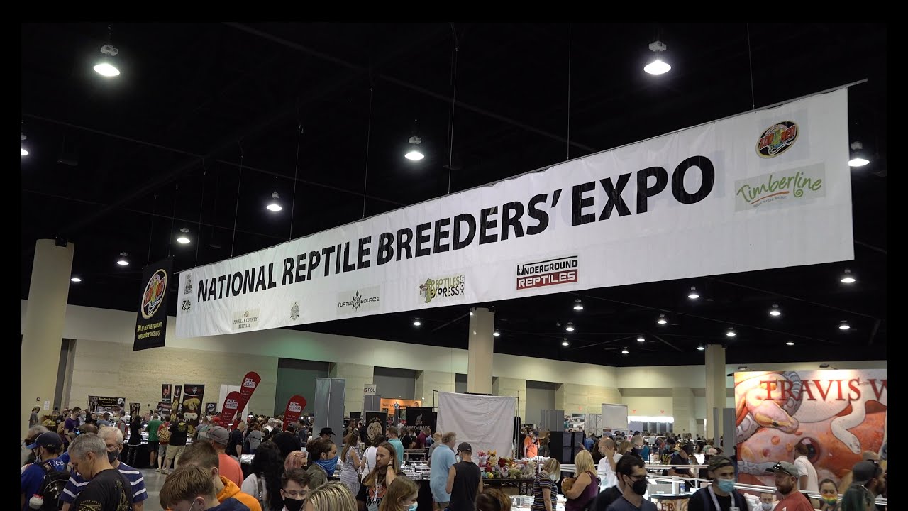 2021 National Reptile Breeders' Expo Daytona YouTube