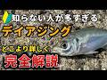 【知らない人多すぎ】デイアジング完全攻略！釣り方の基本〜極意を徹底解説【日中・デイゲーム】