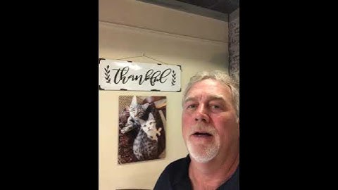 See Why This Cat Owner Loves CanvasChamp