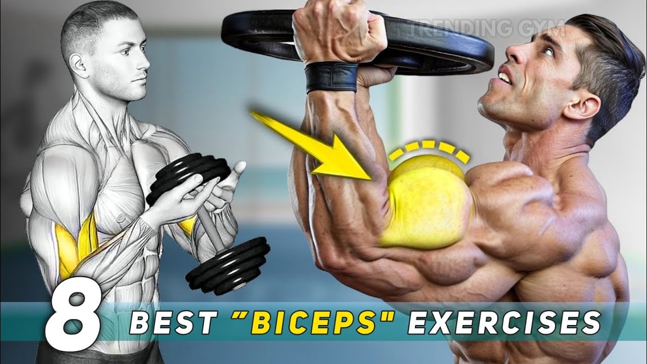 Best Biggest Biceps Exercises For Huge ARMS - Biceps Workouts - YouTube