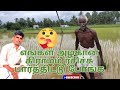 எங்க கிராமம் இவ்ளோ அழகா! வாங்க பார்க்கலாம் 🥰 Ride on my own 🔥 Village 🏞️🌲🌳🌴🌱🌿🌾🍁