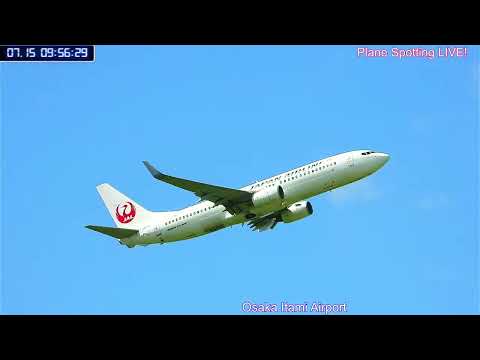 整備欠航!Cancelled 天草エアライン・みぞか号生中継!伊丹空港!! Plane Spotting Osaka Itami Airport 07/15/2025