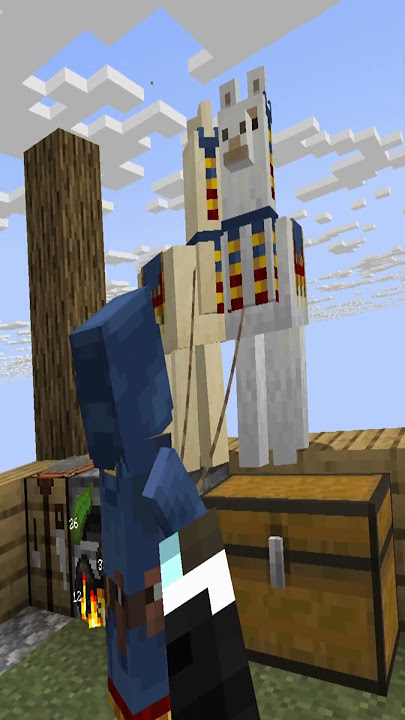 Me and this wandering trader got beef - modded minecraft