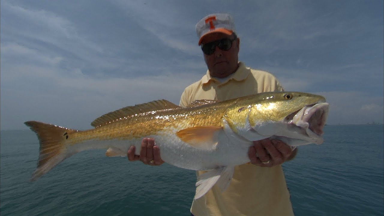 Bill Dance Fishing for Bull Reds and Jack Crevalle on the Space