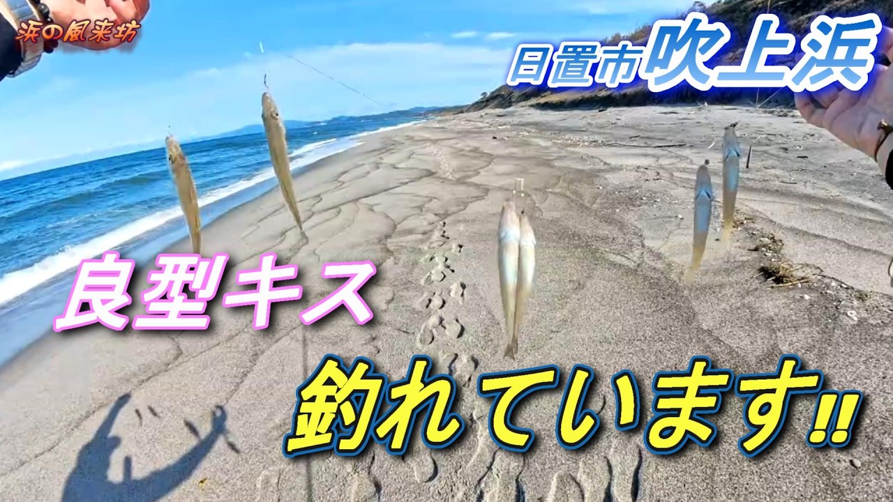 吹上浜での【キス釣り】2026年2月28日　今年もいい感じで釣れ初めています。
