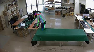 Behavior analysis // Pose detection