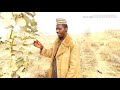 Ana Magance Sanyin Mara Da Tumfafiya Kuma Tana Maganin Aljan Ana Magance Sanyin Mara Da Tumfafiya Kuma Tana Maganin Aljan