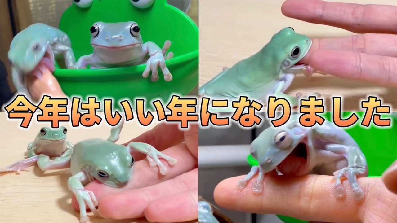 【2021年下半期】指食われ集☝️🐸
