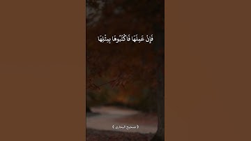#اكسبلور #اذكار #دويتو #duet #استغفار #تيك_توك #حالات_واتس #لايك #في #ترند