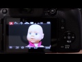 AF modes for Panasonic Lumix Bridge Cameras with Touch Screens
