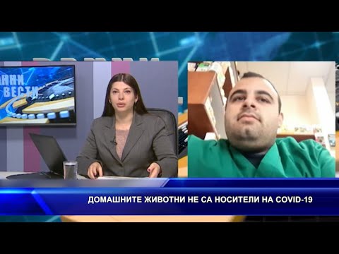 Видео: Дължат ли ветеринарните лекари консултации след смъртта на своите клиенти?