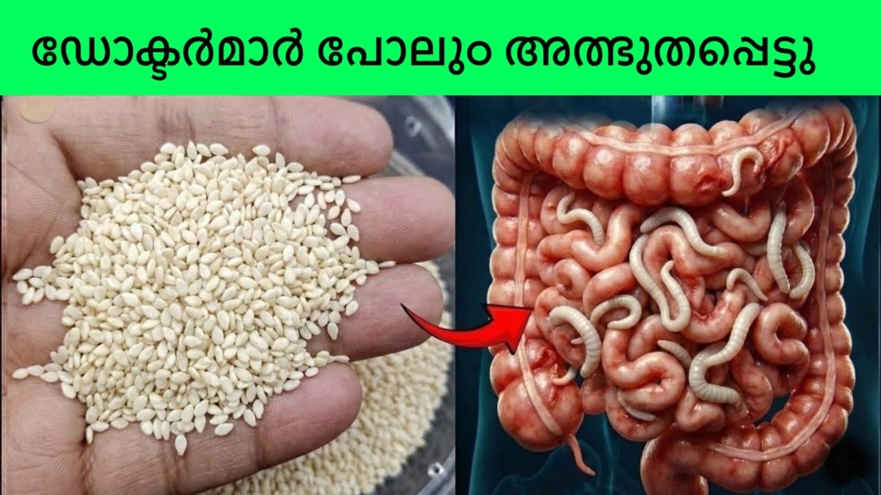 വെറും 7 ദിവസം എള്ള് കഴിച്ചപ്പോൾ ശരീരത്തിലുണ്ടായ മാറ്റങ്ങൾ കണ്ട് ഡോക്ടർമാർ പോലും അത്ഭുതപ്പെട്ടു.