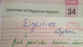 Digestive system physiology from sembulingam #The Journey Through Your Digestive System #FoodJourney screenshot 2