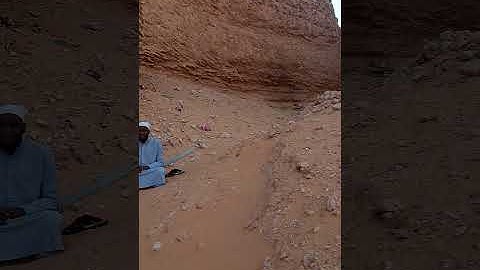 تلاوة عطرة مع القارئ بلال شريفي