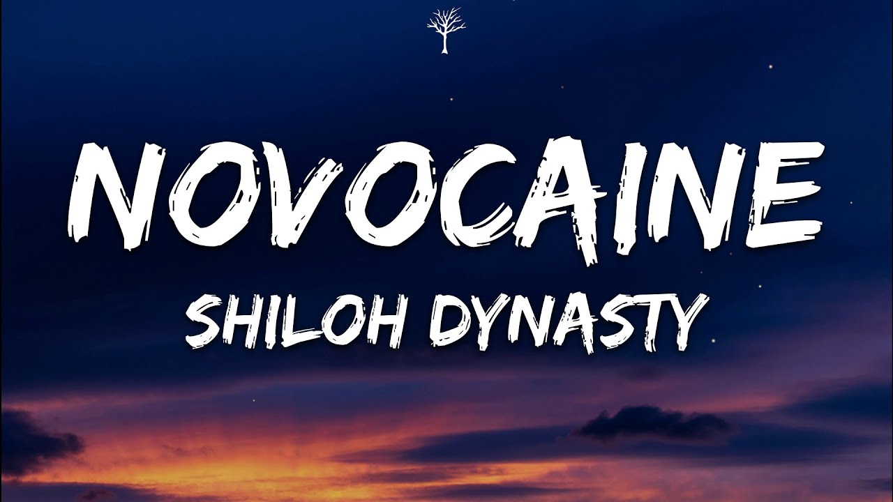 Shiloh Dynasty   Novocaine Lyrics