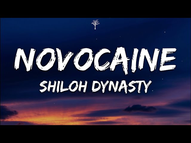 Shiloh Dynasty - Novocaine (Lyrics) class=