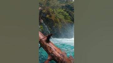 واتس اب قران كريم القارئ ياسر دوسري (سوره الزمر)