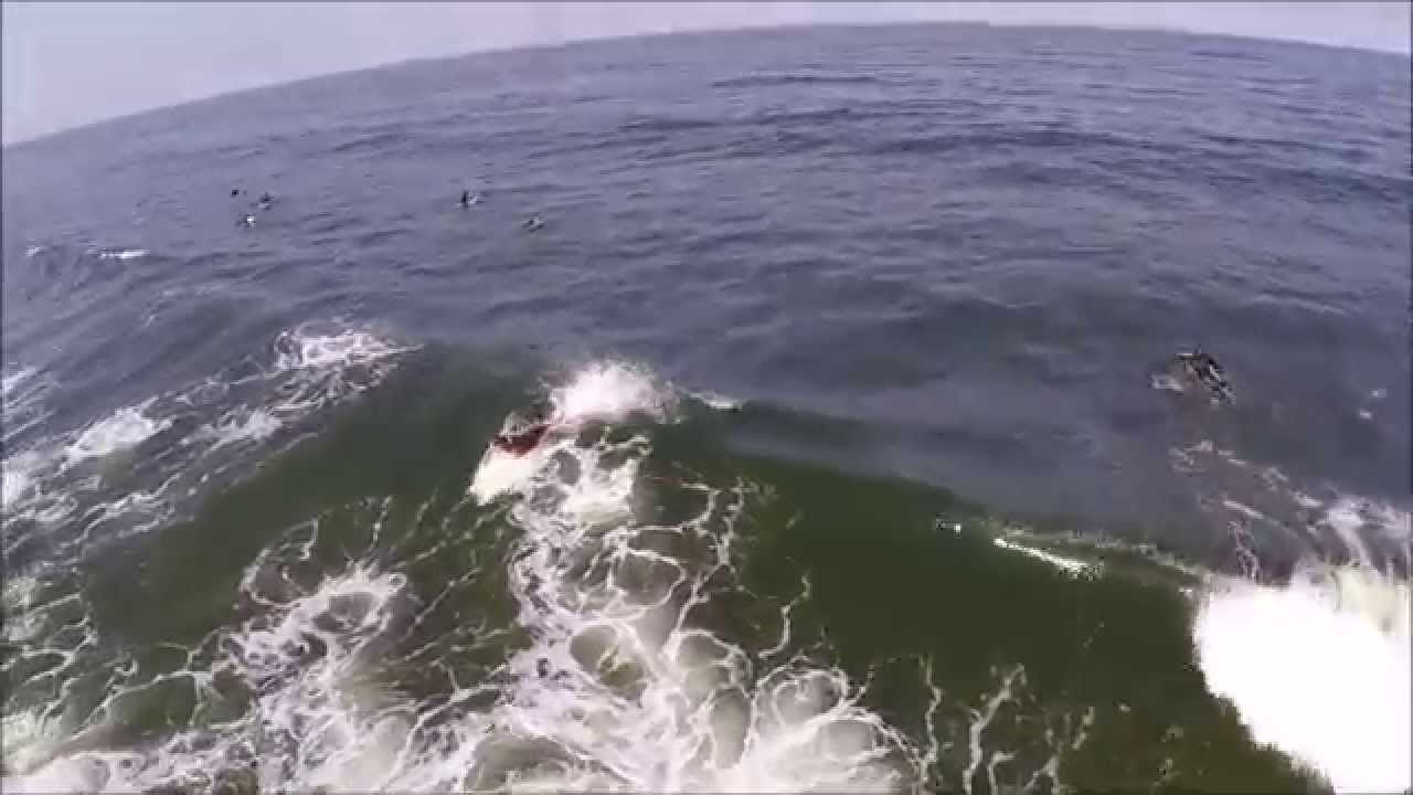 Dave and Brian Surfing at Salmon Creek August 2015 YouTube