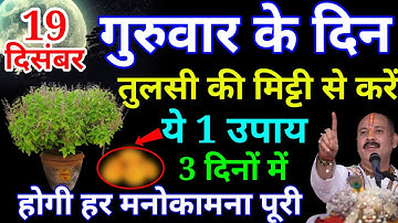 19 दिसंबर गुरुवार के दिन तुलसी के मिट्टी से करें ये 1 उपाय बनोगे करोड़पति || Pardeep Ji Mishra